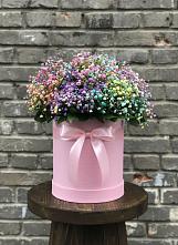 Цветочная композиция из Гипсофила и Розы в шляпной коробке в Каратузском