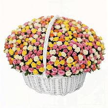 Премиум букет из: Розы в Каратузском