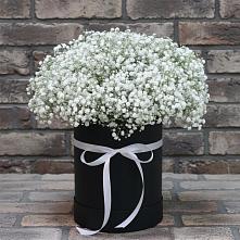 Цветочная композиция из Гипсофила в шляпной коробке #REPLACE_PRED# Каратузском