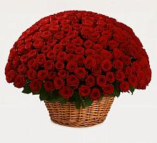 Премиум букет из: Розы в Каратузском